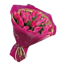 Букет 25 рожевих тюльпанів